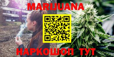 винт Сланцы