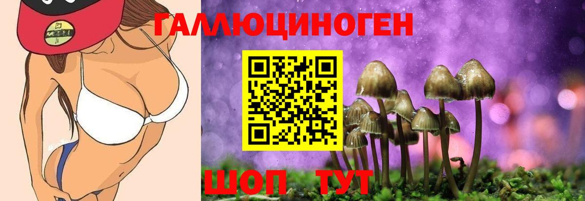Псилоцибиновые грибы GOLDEN TEACHER Можга