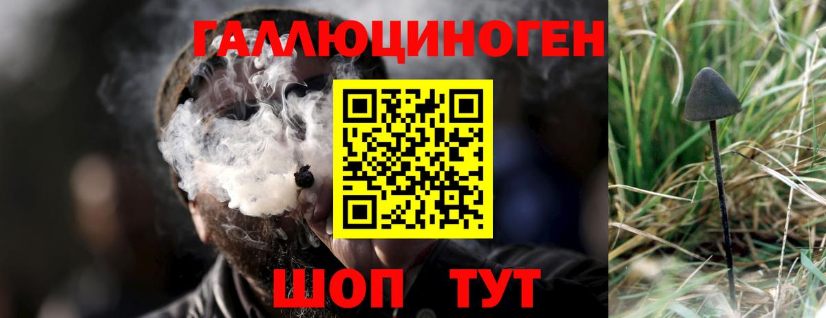 Псилоцибиновые грибы Psilocybine cubensis  Вход с VPN  Галлюциногенные грибы Psilocybe  Можга 